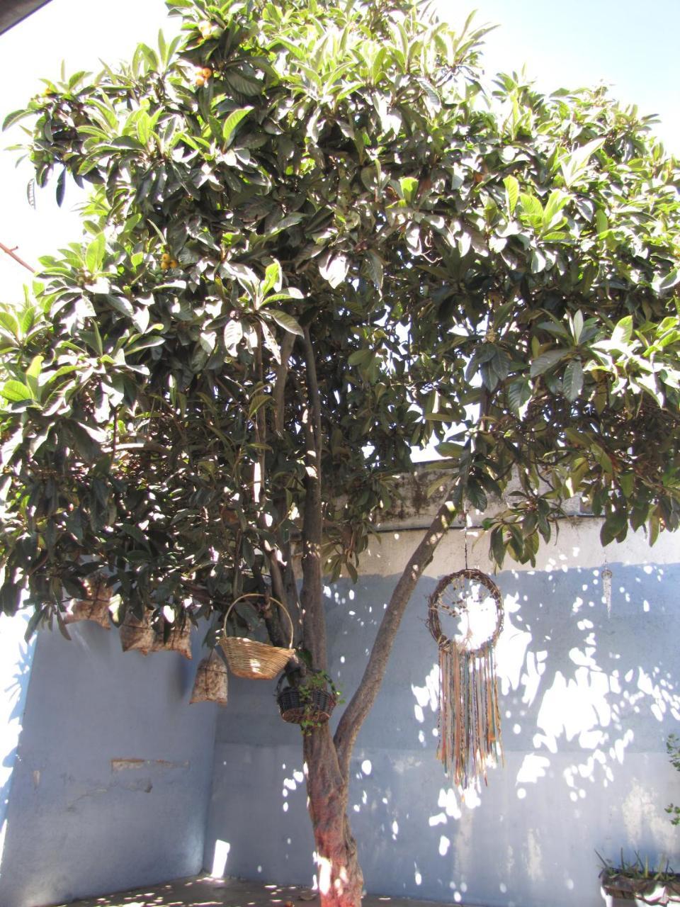 Casa Encuentro Ξενοδοχείο Κετσαλτενάνγκο Εξωτερικό φωτογραφία